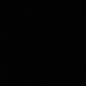 Meet your Posher, Dillon